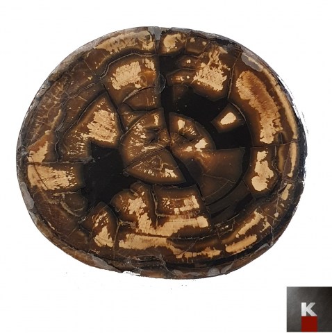 avorio fossile mammuth natural p u n 7 2